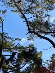 阿部野神社の自然