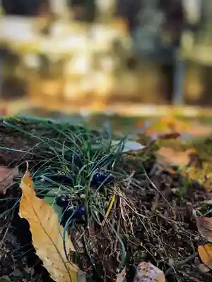 浄居寺(山梨県)