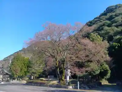 岐阜護國神社(岐阜県)