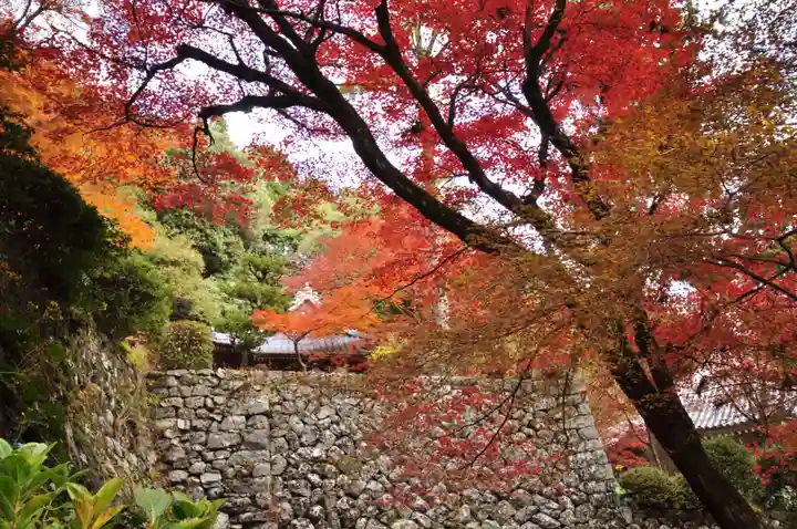 西山興隆寺(愛媛県)