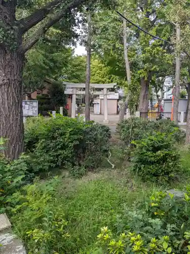 高木神社(東京都)
