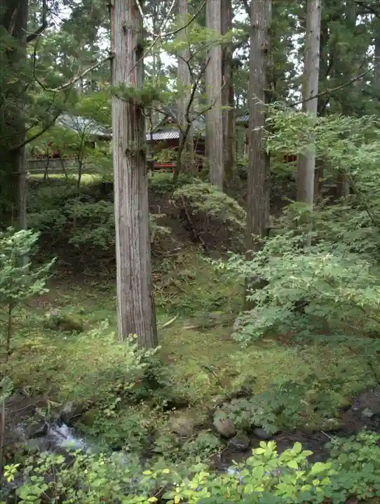瀧尾神社(日光二荒山神社別宮)の自然