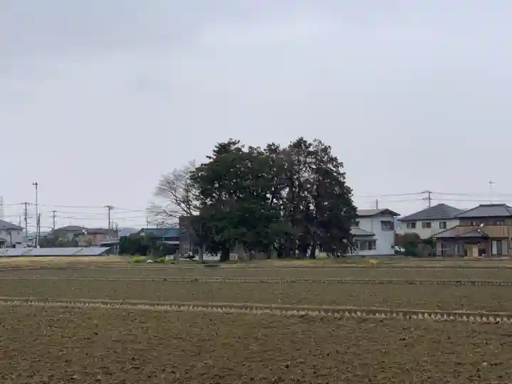 八幡神社の周辺