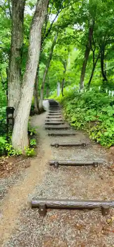 空気神社の自然