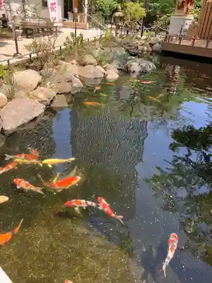愛宕神社(東京都)