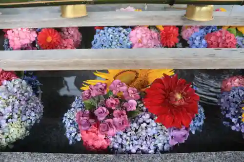 豊景神社の手水