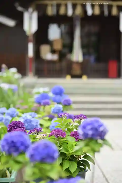 磐井神社の自然
