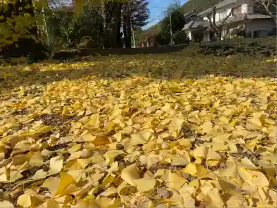 大崎神社(兵庫県)