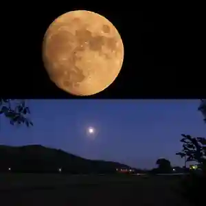高司神社〜むすびの神の鎮まる社〜の景色(2020年10月31日(土) 02時27分28秒投稿)