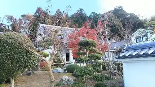 大慈悲院の庭園