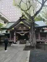 三吉神社の本殿・本堂