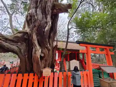 春日大社の末社・摂社