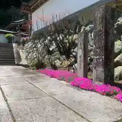 常覺寺の建物その他