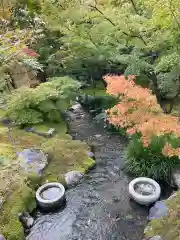 禅林寺（永観堂）(京都府)