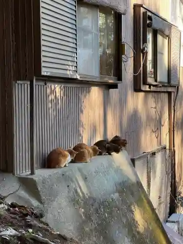 伏見稲荷大社(京都府)