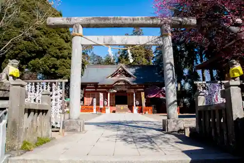 大前神社の鳥居