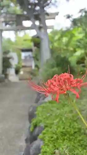 横浜御嶽神社(神奈川県)