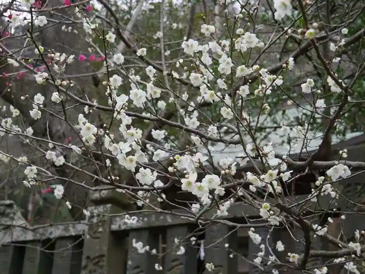 御霊神社の自然