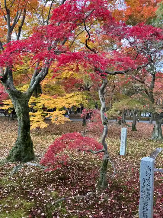 東福禅寺(東福寺)(京都府)