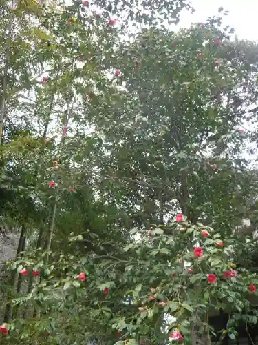 安國論寺（安国論寺）の自然