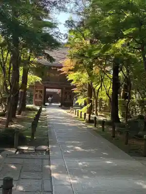 平林寺の{uncategorized: "未分類", other: "その他", undefined: "問題あり", building: "その他建物", grave: "お墓", sacred_gate: "鳥居", guardian: "狛犬", statue: "像", buddha: "仏像", history: "歴史", nature: "自然", garden: "庭園", animal: "動物", pagoda: "塔", temizu: "手水舎", mountain_gate: "山門・神門", sanctuary: "本殿・本堂", subordinate: "末社・摂社", art: "芸術", scenery: "景色", jizo: "地蔵", ema: "絵馬", goshuin: "御朱印", omikuji: "おみくじ", items: "授与品その他", amulet: "お守り", goshuincho: "御朱印帳", eats: "食事", festival: "お祭り", votive_dance: "神楽", shichigosan: "七五三参", wedding: "結婚式", experience: "体験その他", initially: "初詣", around: "周辺", anti_infection: "感染症対策"}