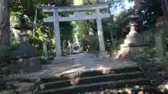 代々木八幡宮の鳥居