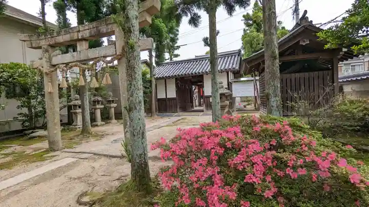 若宮八幡宮(佐古)(京都府)