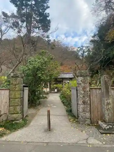 明月院(神奈川県)
