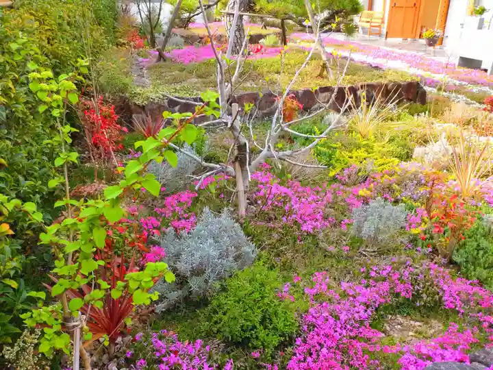 寿量山 速成寺の自然