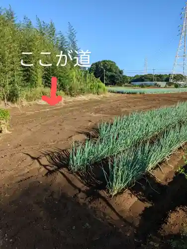貞福寺(千葉県)