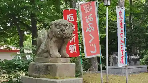 清里神社の狛犬