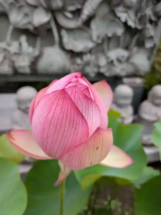 長善寺(東京都)