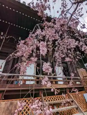 平等寺（因幡堂）(京都府)