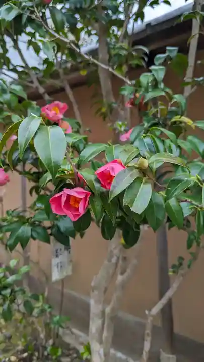 大豊神社(京都府)