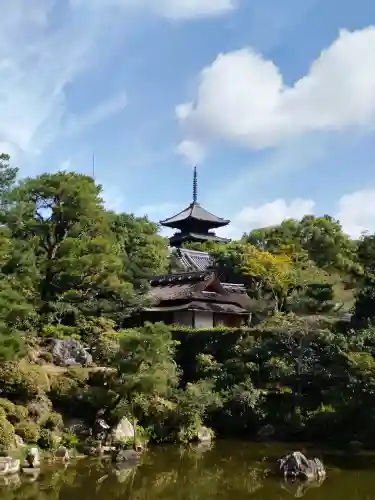 仁和寺の{uncategorized: "未分類", other: "その他", undefined: "問題あり", building: "その他建物", grave: "お墓", sacred_gate: "鳥居", guardian: "狛犬", statue: "像", buddha: "仏像", history: "歴史", nature: "自然", garden: "庭園", animal: "動物", pagoda: "塔", temizu: "手水舎", mountain_gate: "山門・神門", sanctuary: "本殿・本堂", subordinate: "末社・摂社", art: "芸術", scenery: "景色", jizo: "地蔵", ema: "絵馬", goshuin: "御朱印", omikuji: "おみくじ", items: "授与品その他", amulet: "お守り", goshuincho: "御朱印帳", eats: "食事", festival: "お祭り", votive_dance: "神楽", shichigosan: "七五三参", wedding: "結婚式", experience: "体験その他", initially: "初詣", around: "周辺", anti_infection: "感染症対策"}