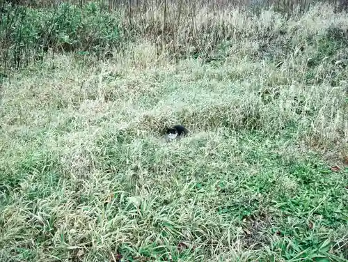稲荷神社(北海道)