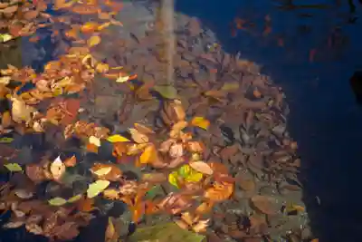 達屋酢蔵神社(長野県)