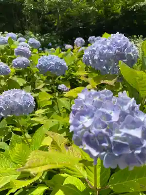 尊永寺(静岡県)