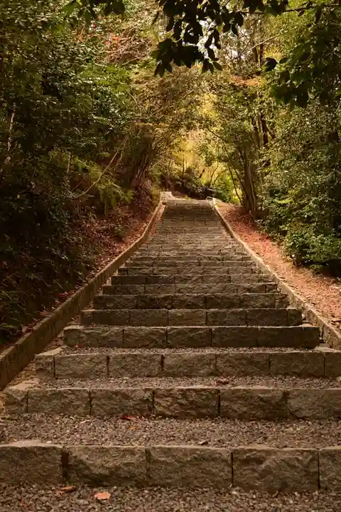 大覚寺(京都府)