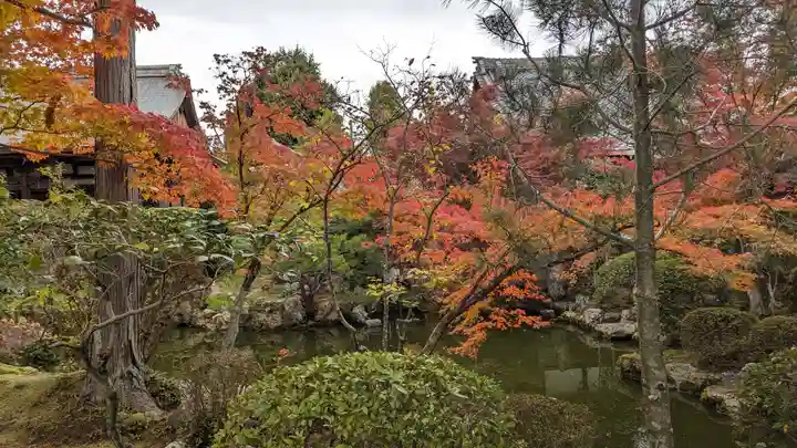 神光院(京都府)