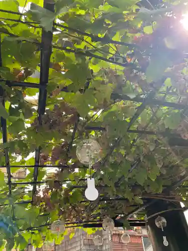菊名神社(神奈川県)