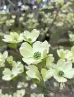 蚊里田八幡宮(長野県)