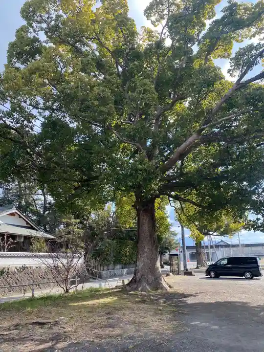 大宮神社(和歌山県)