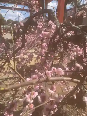 多治速比売神社の{uncategorized: "未分類", other: "その他", undefined: "問題あり", building: "その他建物", grave: "お墓", sacred_gate: "鳥居", guardian: "狛犬", statue: "像", buddha: "仏像", history: "歴史", nature: "自然", garden: "庭園", animal: "動物", pagoda: "塔", temizu: "手水舎", mountain_gate: "山門・神門", sanctuary: "本殿・本堂", subordinate: "末社・摂社", art: "芸術", scenery: "景色", jizo: "地蔵", ema: "絵馬", goshuin: "御朱印", omikuji: "おみくじ", items: "授与品その他", amulet: "お守り", goshuincho: "御朱印帳", eats: "食事", festival: "お祭り", votive_dance: "神楽", shichigosan: "七五三参", wedding: "結婚式", experience: "体験その他", initially: "初詣", around: "周辺", anti_infection: "感染症対策"}
