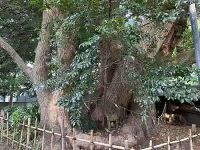 御津神社(愛知県)