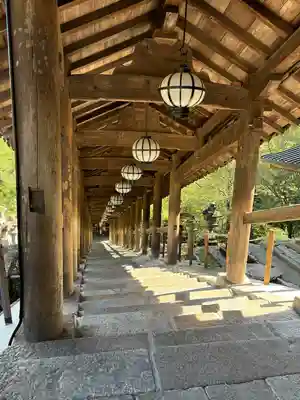 長谷寺(神奈川県)