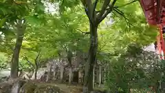新宮神社の自然