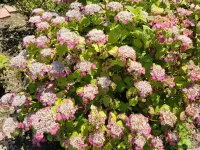 八幡神社の自然