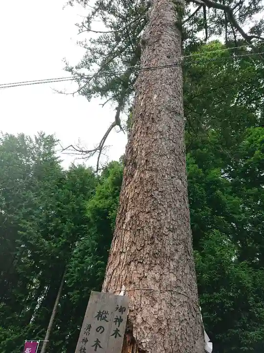 滑川神社 - 仕事と子どもの守り神の自然