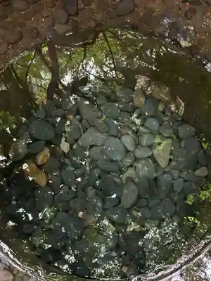 明治神宮(東京都)